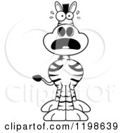 Cartoon Of A Black And White Scared Zebra Royalty Free Vector Clipart