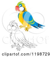 Cartoon Of A Cute Happy Parrot In Color And Black And White Outline Royalty Free Clipart