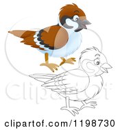 Cartoon Of A Cute Happy Bird In Color And Black And White Outline Royalty Free Clipart
