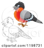 Cartoon Of A Cute Happy Robin In Color And Black And White Outline Royalty Free Clipart