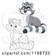 Cartoon Of A Cute Happy Raccoon In Color And Black And White Outline Royalty Free Clipart by Alex Bannykh