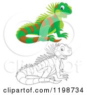 Poster, Art Print Of Cute Happy Lizard In Color And Black And White Outline