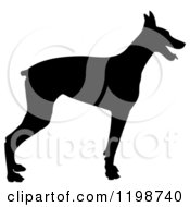 Black Silhouetted Doberman Pinscher Dog In Profile