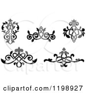 Poster, Art Print Of Black And White Ornate Floral Victorian Design Elements 3