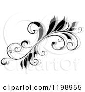 Poster, Art Print Of Black And White Flourish With A Shadow 7
