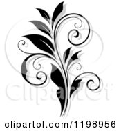 Poster, Art Print Of Black And White Flourish With A Shadow 8