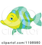 Poster, Art Print Of Cute Green Blue And Yellow Marine Fish