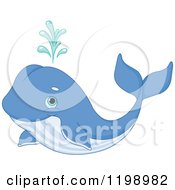 Cute Spouting Blue Whale