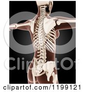 Poster, Art Print Of 3d Medical Female Xray With Visible Skeleton On Black