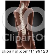 Clipart Of A 3d Medical Female Xray With Visible Spine On Black Royalty Free CGI Illustration