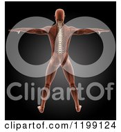 Poster, Art Print Of 3d Standing Xray Man With A Spine And Visible Skeleton