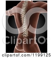 Clipart Of A 3d Xray Man With A Visible Spine Standing With His Arms Out Royalty Free CGI Illustration