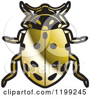 Poster, Art Print Of Golden Convergent Lady Beetle