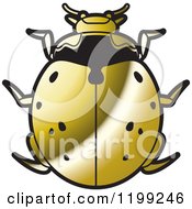 Poster, Art Print Of Golden Nine Spotted Lady Beetle