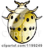 Poster, Art Print Of Golden Maxican Bean Lady Beetle