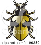 Poster, Art Print Of Golden Hippodamus Lady Beetle