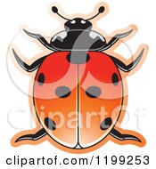 Poster, Art Print Of Red Seven Spotted Lady Beetle