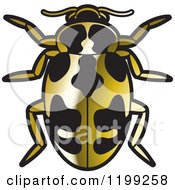 Poster, Art Print Of Golden Parenthesis Lady Beetle