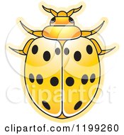 Poster, Art Print Of Yellow Maxican Bean Lady Beetle