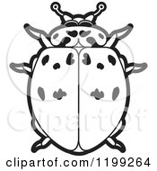 Clipart Of A Black And White Ashy Gray Lady Beetle Royalty Free Vector Illustration