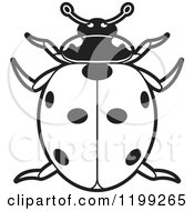Clipart Of A Black And White Spotted Lady Beetle Royalty Free Vector Illustration