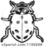 Clipart Of A Black And White Convergent Lady Beetle Royalty Free Vector Illustration