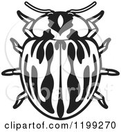 Clipart Of A Black And White Myzia Lady Beetle Royalty Free Vector Illustration