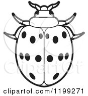 Clipart Of A Black And White Maxican Bean Lady Beetle Royalty Free Vector Illustration