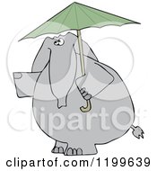 Poster, Art Print Of Elephant With A Green Umbrella
