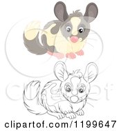 Poster, Art Print Of Black And White And Colored Cute Chinchilla
