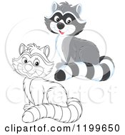 Poster, Art Print Of Black And White And Colored Cute Raccoon Sitting And Smiling