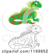 Poster, Art Print Of Black And White And Colored Cute Lizard