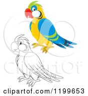 Cartoon Of A Black And White And Colored Cute Parrot Royalty Free Vector Clipart