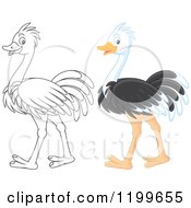 Cartoon Of A Black And White And Colored Cute Ostrich Walking Royalty Free Vector Clipart by Alex Bannykh