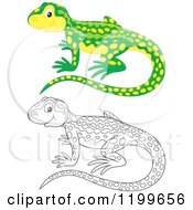 Poster, Art Print Of Black And White And Colored Cute Newt