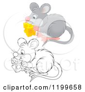 Poster, Art Print Of Colored And Line Art Cute Mouse Eating Cheese