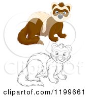 Colored And Line Art Cute Weasel Or Polecat