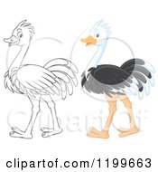 Cartoon Of A Colored And Line Art Cute Ostrich Royalty Free Clipart by Alex Bannykh