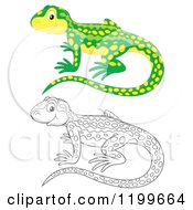Poster, Art Print Of Colored And Line Art Cute Newt