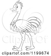 Poster, Art Print Of Black And White Cute Ostrich Walking
