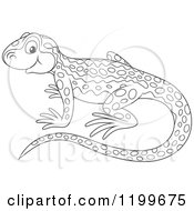 Poster, Art Print Of Black And White Cute Newt