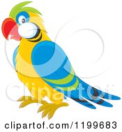 Poster, Art Print Of Cute Parrot