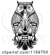 Poster, Art Print Of Chubby Black And White Owl