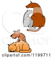 Poster, Art Print Of Dogs And Cats