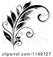 Poster, Art Print Of Black And White Flourish With A Shadow 10
