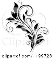 Poster, Art Print Of Black And White Flourish With A Shadow 9