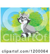 Poster, Art Print Of Cute Happy Raccoon Sitting Near Shrubs