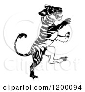 Poster, Art Print Of Black And White Rearing Chinese Zodiac Tiger