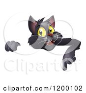 Poster, Art Print Of Black Cat Pointing Down At A Sign