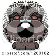 Depressed Porcupine Porcupet